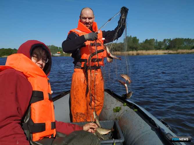 Ученые ловили рыбу сетями с разной ячеей. Фото пресс-службы АтлантНИРО