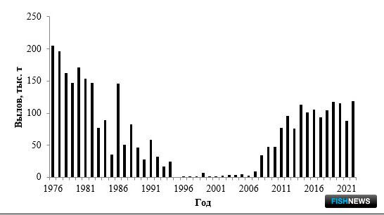 Рис. 3. Многолетняя динамика вылова минтая у северо-восточного Сахалина в 1976-2022 гг.