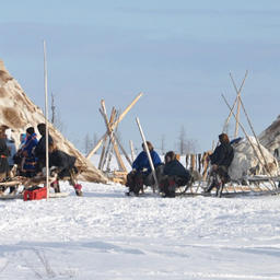 На территории Ямала проживают коренные малочисленные народы, занимающиеся традиционным рыболовством. Фото пресс-службы ТюмГУ