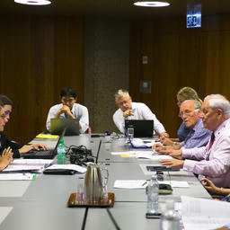 Рабочая группа по осетровым видам на сессии Комитета по животным СИТИЕС. Фото пресс-службы ВНИРО