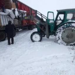 Около 2,5 тонны красной икры незаконно пытались вывезти в Казахстан. Фото пресс-службы Россельхознадзора