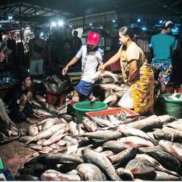 Поставщики на рыбном рынке Ки Мин Дайн. Фото Myanmar Times