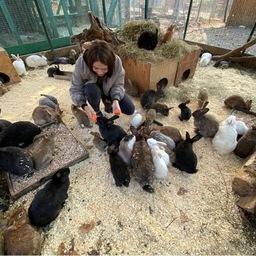 Кролики готовы съесть все, тем более из рук посетителей. Фото из Instagram зоопарка «Садгород»