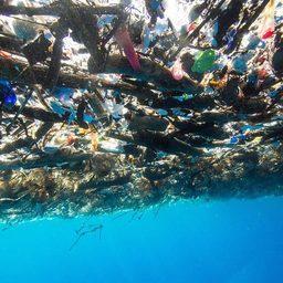 Пластиковый мусор в Карибском море. Фото Кэролин Пауэр