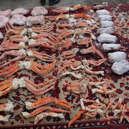 Более 3 тонн краба и креветки нашли в нелегальном цеху в Артеме. Фото пресс-группы Погрануправления ФСБ России по Приморскому краю