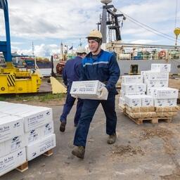 В области с 2019 года действует Арктический рыбопромышленный кластер. Сейчас в его составе 18 предприятий — это рыбодобыча, рыбопереработка, сбыт, учебные и научные заведения