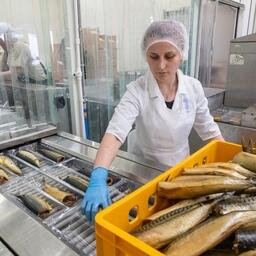 В регионе потребление рыбы на душу населения традиционно выше среднероссийского — чуть больше 24 кг в год