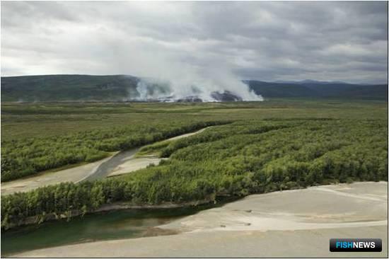 Пожар в бассейне реки Апука (верхнее течение). Фото пресс-службы КамчатНИРО