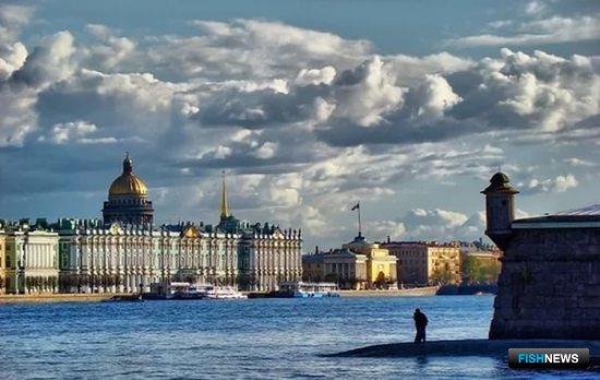 Санкт-Петербург. Фото с сайта meteovesti.ru