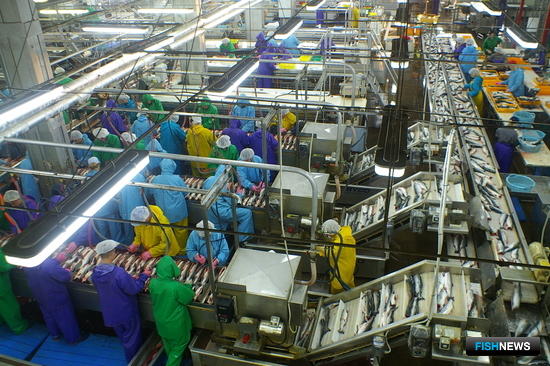 Рыбоперерабатывающий завод в Сахалинской области