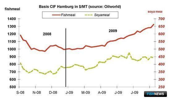 Рис. 7. Динамика цены на рыбную муку в 2008-2009 гг., долл./тн. на условиях СИФ Гамбург 