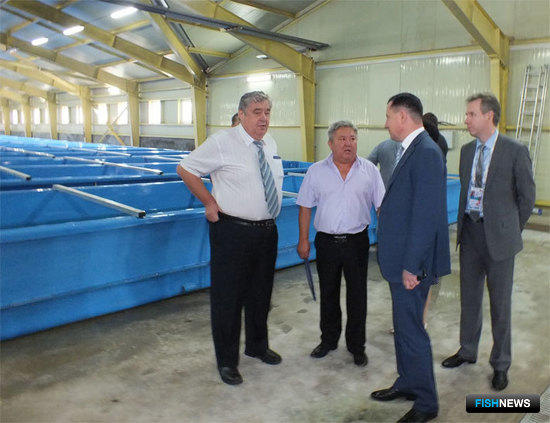 В октябре 2015 года введен в эксплуатацию после реконструкции первой очереди Барабашевский лососевый рыбный завод в Приморском крае. 