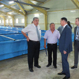 В октябре 2015 года введен в эксплуатацию после реконструкции первой очереди Барабашевский лососевый рыбный завод в Приморском крае. 