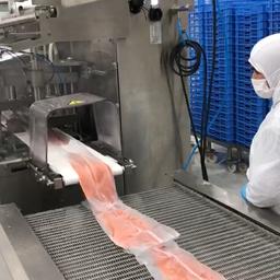 Производство рыбной продукции на заводе в Чили