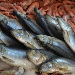 По итогам 2021 г. топ-5 самых популярных видов рыбы и морепродуктов в российской рознице возглавила сельдь. Креветки — на третьем месте