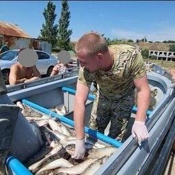 В лодке обнаружены 482 пиленгаса. Фото пресс-службы Азово-Черноморского теруправления ФАР