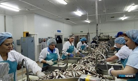 В Ямало-Ненецком автономном округе прошел региональный конкурс «Лучший обработчик рыбы». Фото пресс-службы правительства региона