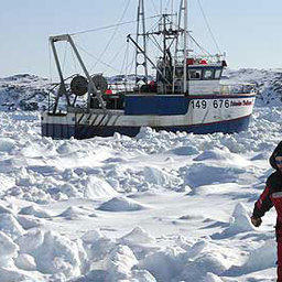 Более 100 судов оказались в ледовом плену вблизи Ньюфаундленда