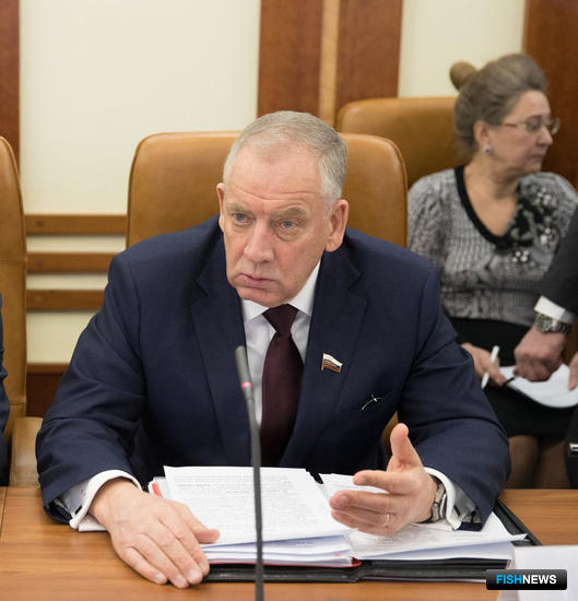 Руководитель группы, сенатор Сергей МИТИН. Фото пресс-службы Совета Федерации