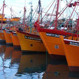 Рыболовецкие суда в порту Мар-дель-Плата, Аргентина. Фото Elvis Boaventura («Википедия»)