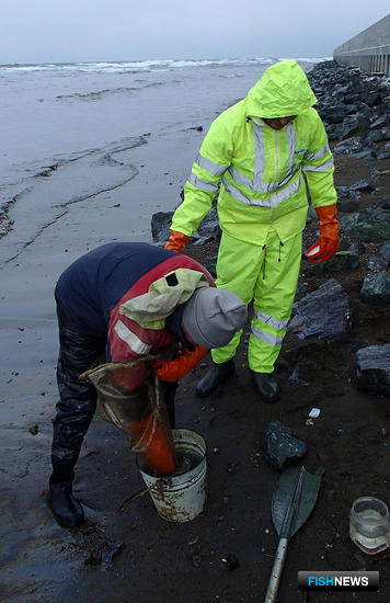 Ученые провели первое обследование побережья в месте аварии «Надежды». Фото пресс-службы СахНИРО