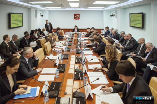 Круглый стол о перспективах российского промысла в открытых и удаленных районах Мирового океана в Совете Федерации