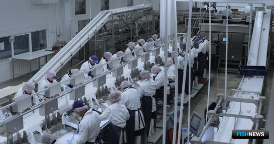Рыбопромышленный холдинг «КАРАТ» открыл в Мурманской области береговую перерабатывающую фабрику. Фото РК «КАРАТ»