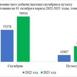 Освоение скумбрии и путассу за девять месяцев 2022 и 2023 гг. Графика пресс-службы агентства по рыболовству Калининградской области