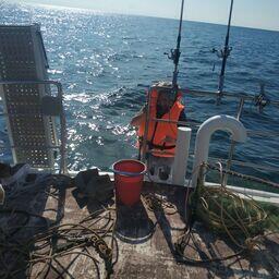 Запасы моллюсков Черного моря оценивают специалисты АзНИИРХ. Фото пресс-службы филиала