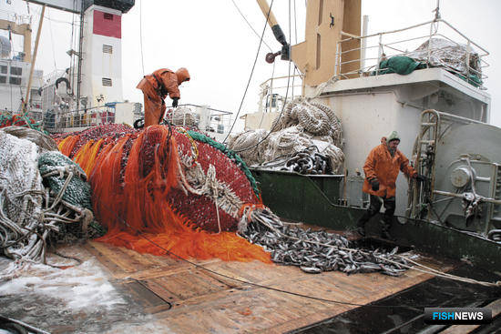Рыбный промысел на Дальнем Востоке