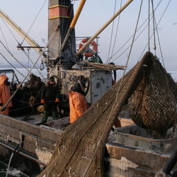 Прибрежное рыболовство в Сахалинской области