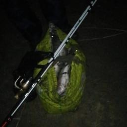 Браконьер рыбачил запрещенным способом - багрением. Фото пресс-службы АЧТУ