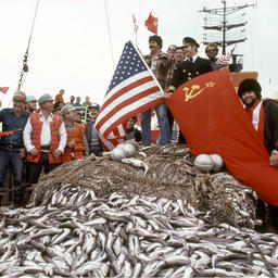 За годы совместного промысла организация освоила 1,5 млн. тонн рыбы. Фото из архива MRCI.