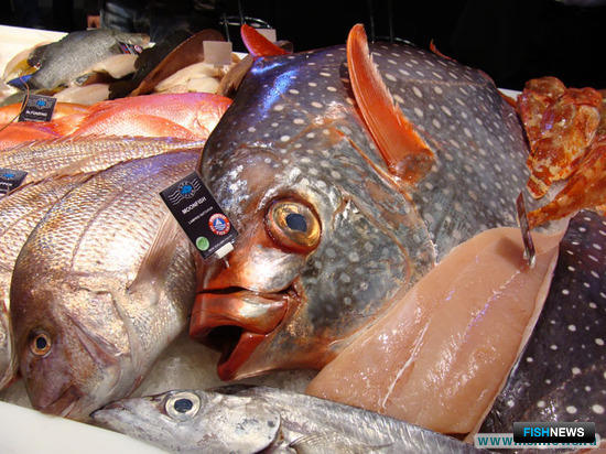 Импортеры рыбопродукции оценили возможности российского рынка