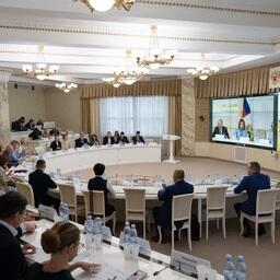 В Москве в гибридном формате состоялось заседание Общественного совета при Россельхознадзоре. Фото пресс-службы ведомства