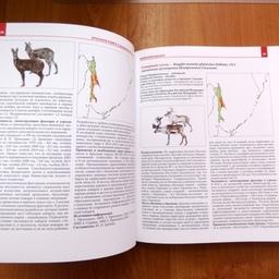 В Сахалинской области выпустили новое издание Красной книги. Фото пресс-службы правительства региона