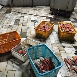 Во Владивостоке выявили очередной браконьерский цех. Фото пресс-группы Пограничного управления ФСБ России по Приморскому краю