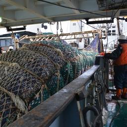 На займы по сниженной ставке смогут претендовать предприятия рыболовства, аквакультуры и рыбопереработки