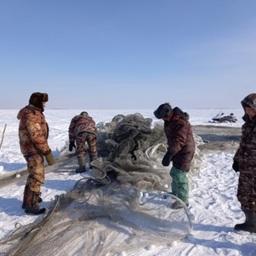 Сотрудники Новосибирского филиала ВНИРО наблюдали за зимовкой рыбы и зимним промыслом на озере Чаны. Фото пресс-службы филиала