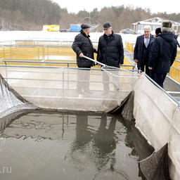Руководство Пензенской области посетило экспериментальное рыбное хозяйство в Кузнецком районе. Фото пресс-службы правительства региона