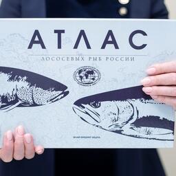 В конце прошлого года Ассоциация «Русский лосось» при поддержке РГО выпустила первый отечественный «Атлас лососевых рыб России»