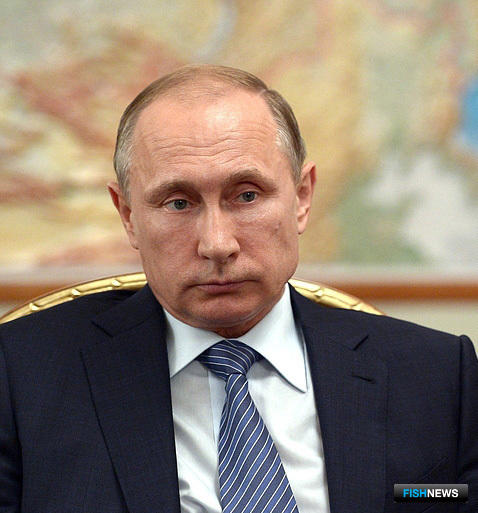 Президент РФ Владимир ПУТИН Фото пресс-службы Кремля