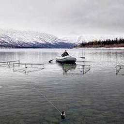 Производителей боганидской палии для эксперимента отловили на озере Собачье. Фото пресс-службы СФУ