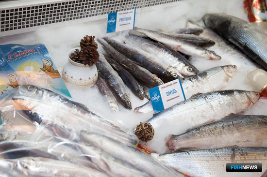Еще одной особенностью нынешнего года стала растущая популярность сибирской рыбы