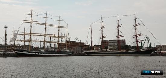 Четырехмачтовые барки Росрыболовства «Седов» и «Крузенштерн» снова встретились в Гдыне. Фото Александра Кучерука.