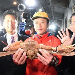 В Японии продан самый дорогой краб в мире. Фото EPA-EFE