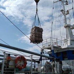 Флот областных рыбодобывающих предприятий в прошлом году осуществил 21 судозаход в порт Архангельск. Фото пресс-службы правительства региона