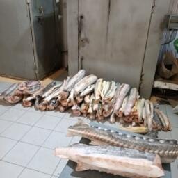 Нелегально приобретенный товар хранили на рыбном складе в Астрахани. Фото пресс-службы Следственного управления СК России по Астраханской области