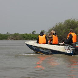 Нарушения в сфере рыболовства и сохранения водных биоресурсов отнесены к главе 17 «Административные правонарушения в области охраны окружающей среды и природопользования»