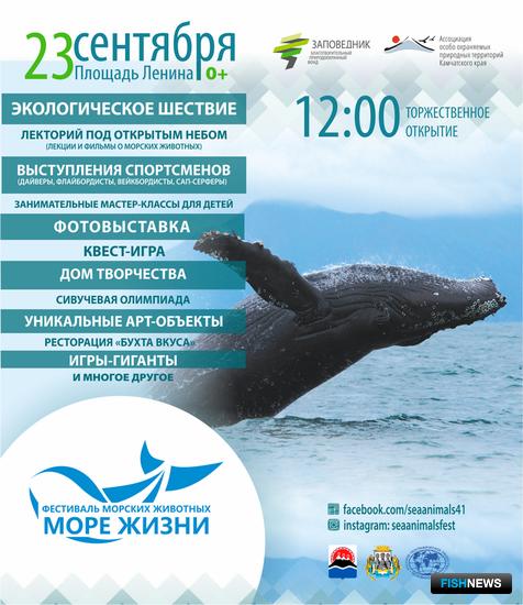 Фестиваль «Море жизни» пройдет в Петропавловске-Камчатском 23 сентября. Фото пресс-службы правительства региона